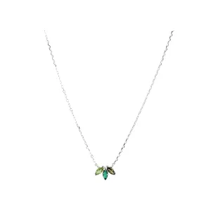 Polo Exchange  Acc. Pxne0612