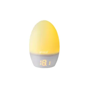 Changing Room Thermometer and Nightlight