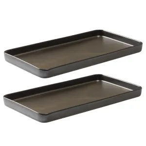 Set of 2 Rectangular Dish Aida Raw Metallic Brown