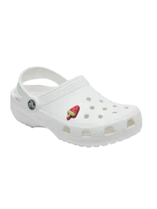 Crocs Watermelon Pop Unisex lifestyle Pins Red/Green/Brown