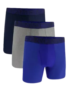 Under Armour Performance Tech 6  Inch Men Training Underwear Royal/Steel Heather