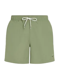 Oneill Men Beach Swim Short Green