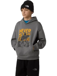 The North Face Oversized Graphic Boys Lifestyle Hoody Smoked Pearl