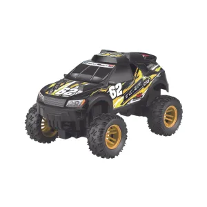 Team City Rc Rally (1:16)