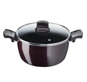 Tefal, Resist Intense - Stewpot 24cm + Glass Lid