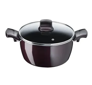 Tefal, Resist Intense - Stewpot 26cm + Glass Lid