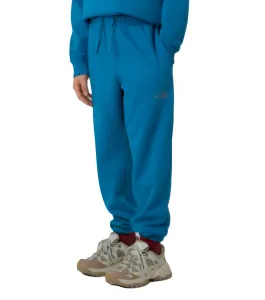 The North Face Reflective Logo Jogger Boys Lifestyle Pant Dusk Blue
