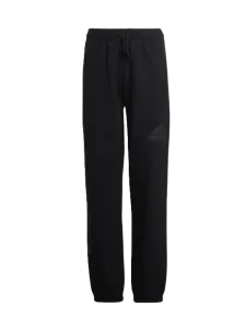 Adidas Future Icons Logo Tracksuit Gs Sportswear Pant Black