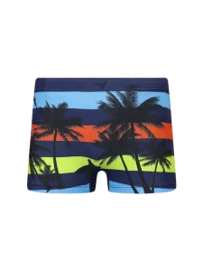 Top Ten Soft Kids-Boys Beach Swim Short Blue