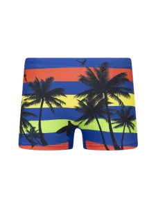 Top Ten Soft Kids-Boys Beach Swim Short Dark Blue