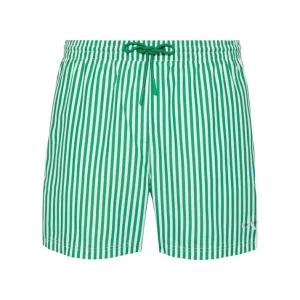 Calvin Klein Monogram Medium Drawstring Swim Shorts Penny Stripe/Mardi Gras Green