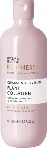 Baylis & Harding Kindness + Plant Collagen, Rose Water & Coconut Milk Fragrance, Cleanse & Rejuvenate Body Wash 
