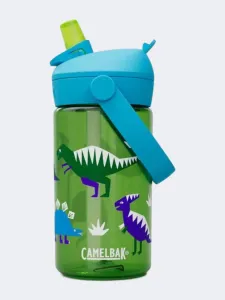 Camelbak Thrive Flip Straw 14 Oz Kids Lifestyle Bottle Hip Dinos