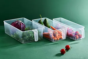 Frigo Organizer with Handle