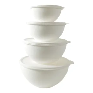 Shiny Bowl Set