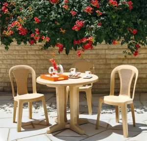Vienna Dining Chair