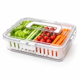 Vegetable and Fruit Storage Container with Strainer 24 x 16.5 x 6 cm