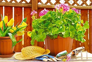 Toscana Flowerpot with Tray - Durable Plastic Design