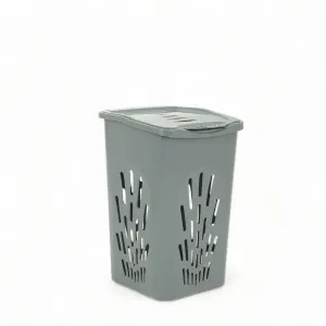 Lamita Hamper - Versatile Plastic Laundry Basket