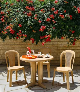 Vienna Dining Chair