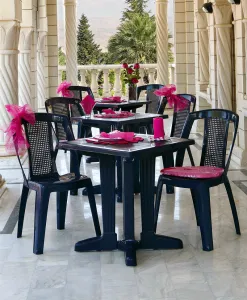 Fiesta Caned Plastic Chair