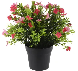 PLANT IN PP POT - 8 Stylish Designs