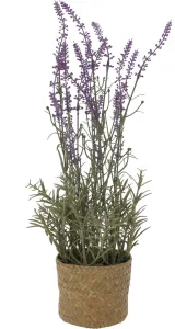 Plant Lavender Bamboo Pot - 9cm Brick Color