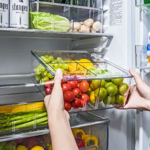 Acrylic Food Container with Separator - Transparent, 30x25x10 cm