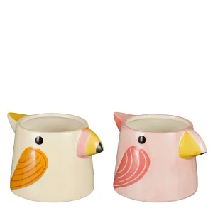 Funny Decorative Flower Pot with Extravagant Design