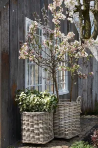 Marcia Round Basket with Wheels for Home and Garden