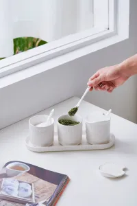 Seasoning Pot Set With Tray