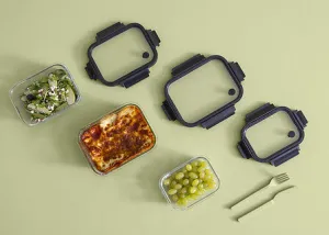 Clipeat Rectangular Glass Container - Borosilicate, Airtight Lid