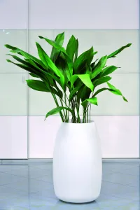 Alto Bubble Flowerpot, White Resin Indoor/Outdoor Planter 45.5Ã—75 cm