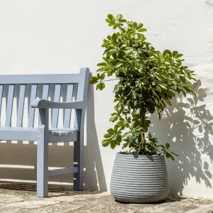 Conchino Bali Flowerpot