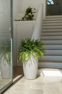 Conico Bali Pot
