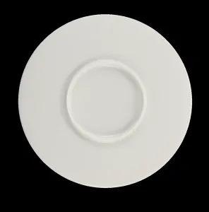 Porcelain Flat Plate Elegant Minimalist Serveware for Dining and Entertaining