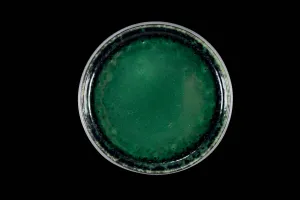 Round Black and Green Dessert Plate, Stoneware, Unique Modern Tableware
