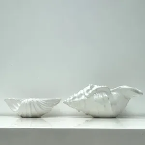Neptune Decoration Bowl White Ceramic Shell Accent Home Decor