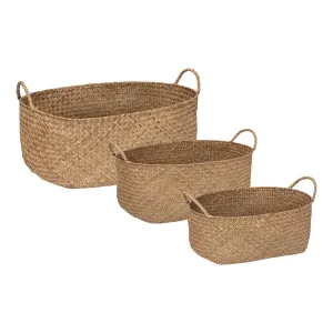 Set of 3 Woven Baskets "Elora" with Handles
