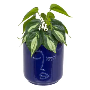 Artificial Plant "Soleya" with Stylized Face Pot