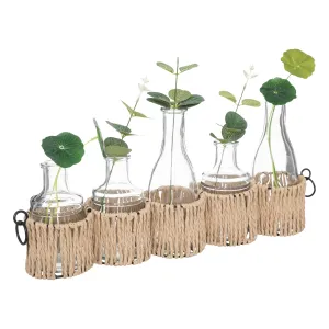 Natural Single Vases with Stems x5 Cozy Set