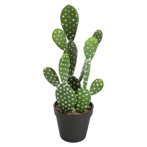 Artificial Cactus Pot - 42 cm