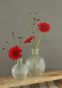 Bologna Clear Glass Bottle Vase