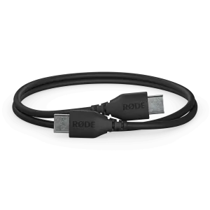 USB-C Cable (30cm)