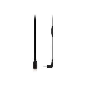 USB-C to Lightning Cable (30cm)