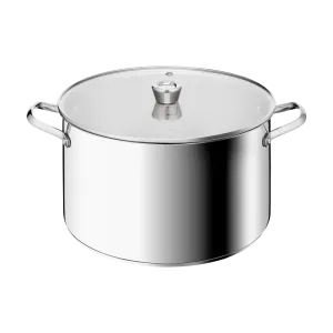 Tefal Space+ Emotion+ XL Induction Stainless Steel Big Pot 13.8L