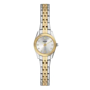 Fossil Watch Collection Scarlette ES5473