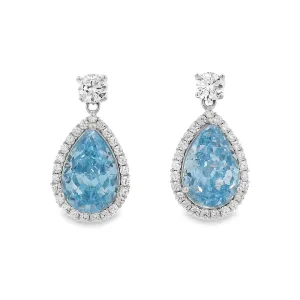 Polo Exchange Earrings PXEA0854
