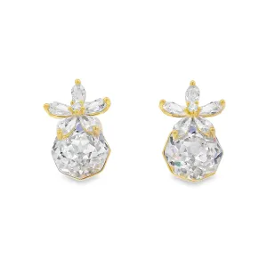 Polo Exchange Earrings PXEA0860