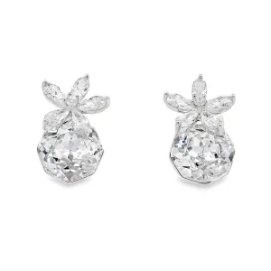 Polo Exchange Earrings PXEA0859